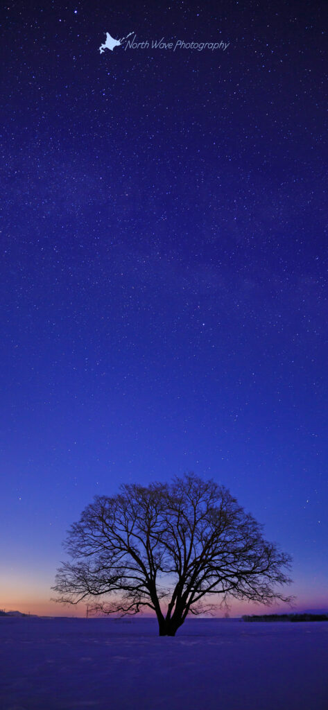 北海道の壁紙 天の川とハルニレ North Wave Photography