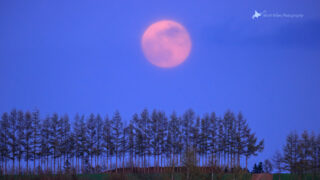 North Wave Photography