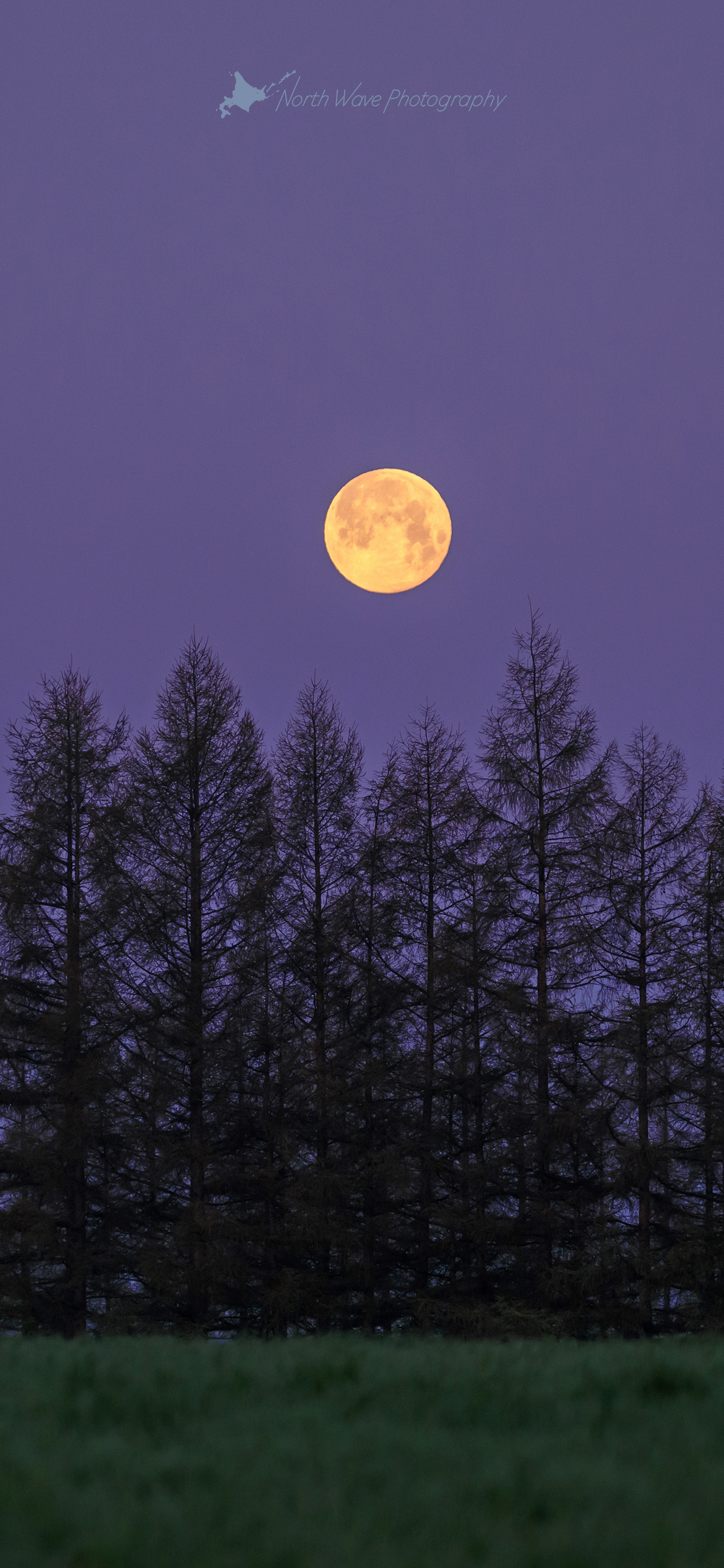 北海道の壁紙 小麦畑の朝の月 North Wave Photography