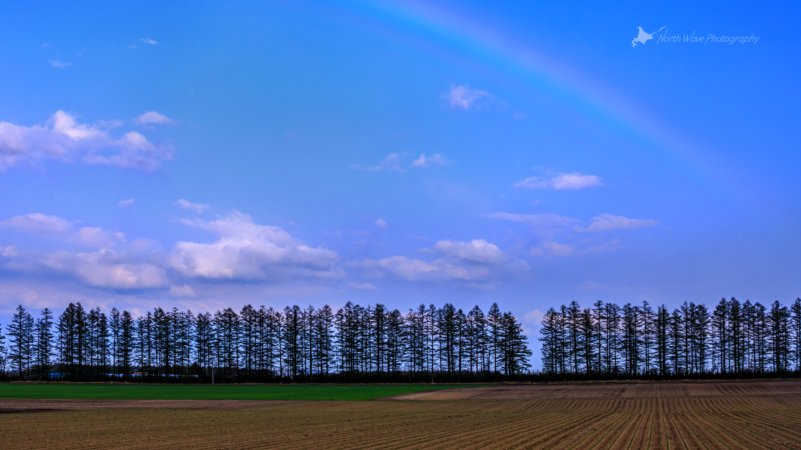 北海道の壁紙 虹と防風林 North Wave Photography
