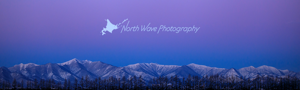 about northwavephotography