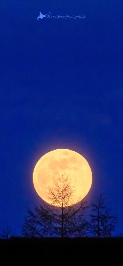 blue-time-moonrise-for-iphone12