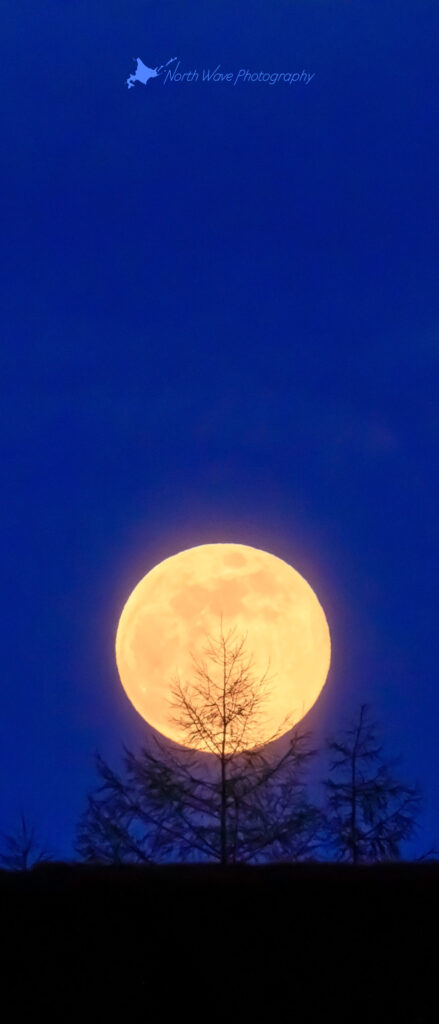 blue-time-moonrise-for-xperia