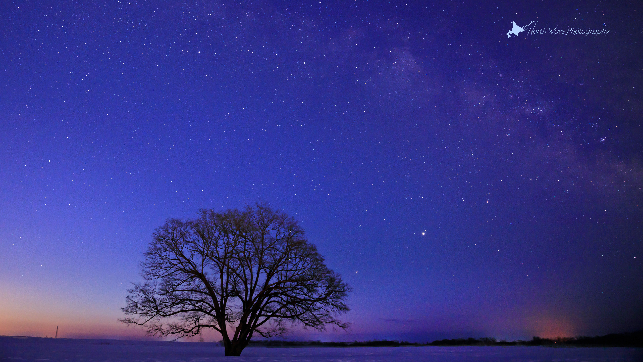 milkyway-and-elm-tree-for-imac