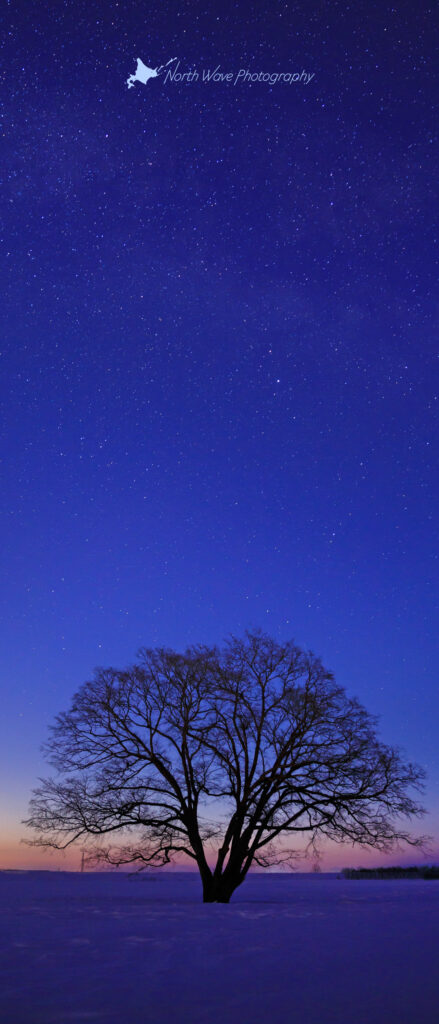 milkyway-and-elm-tree-for-xperia