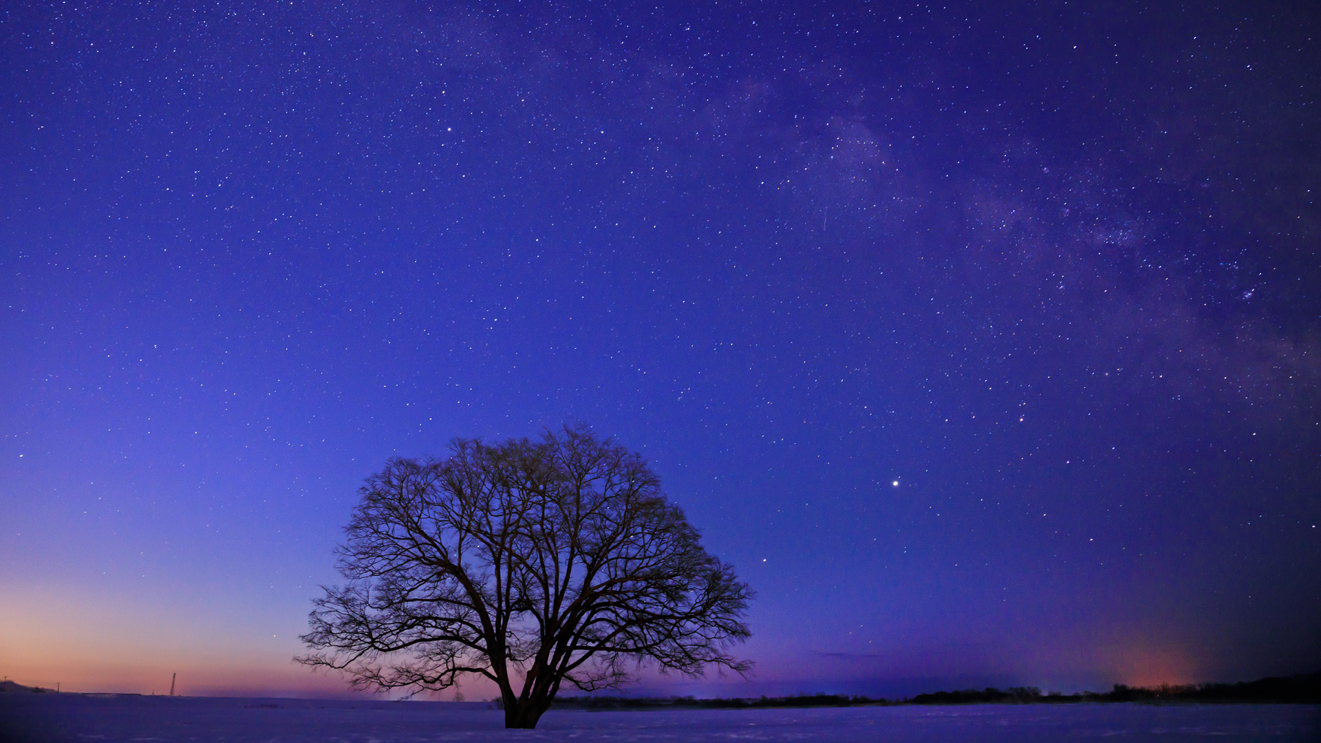 北海道の風景壁紙 天の川とハルニレ No 3 North Wave Photography