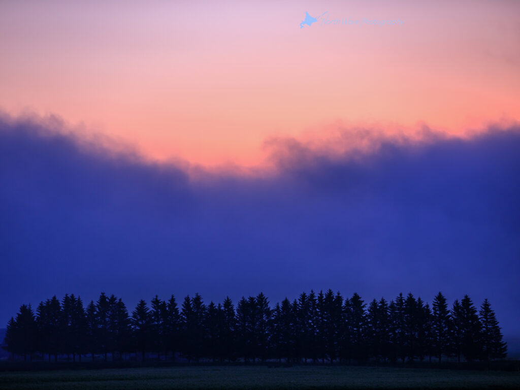 morning-fog-and-twilight-sky-for-ipadpro
