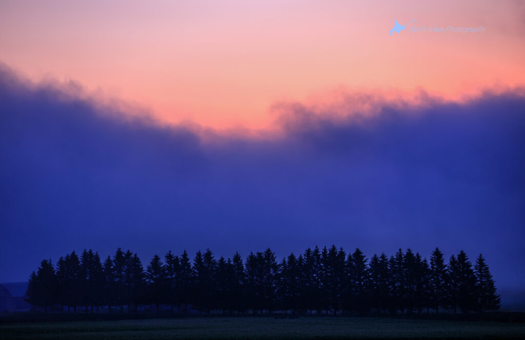 morning-fog-and-twilight-sky-for-macbookpro
