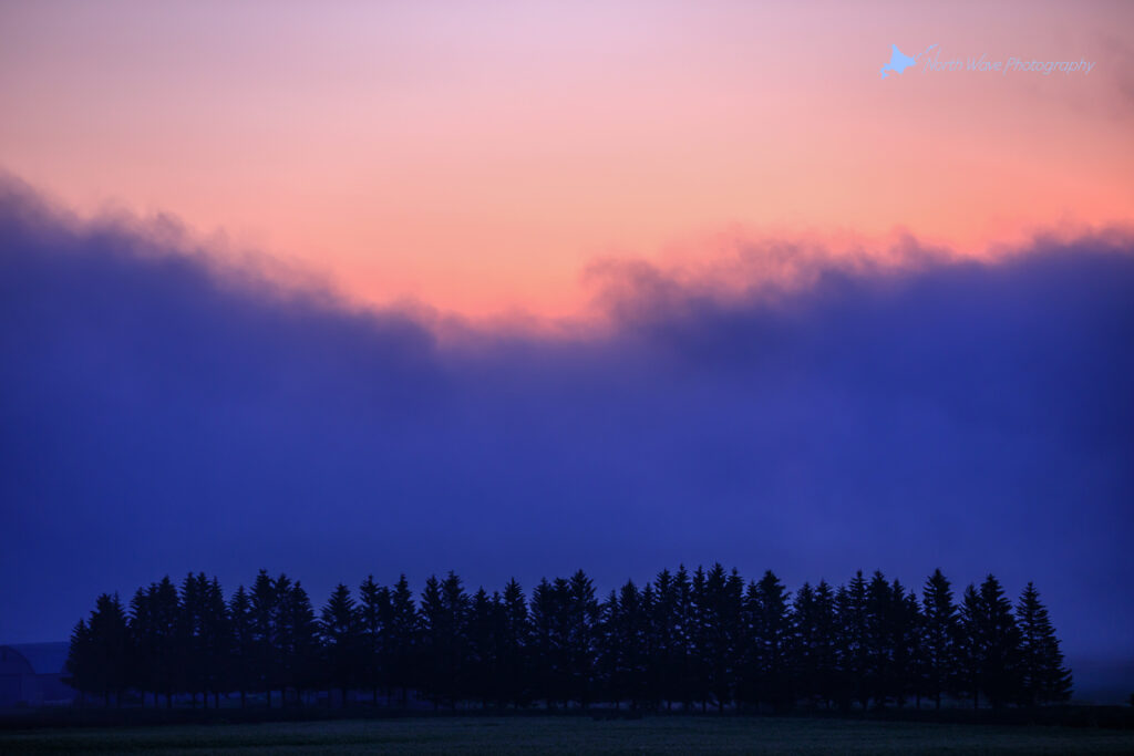 morning-fog-and-twilight-sky-for-surfaceprox