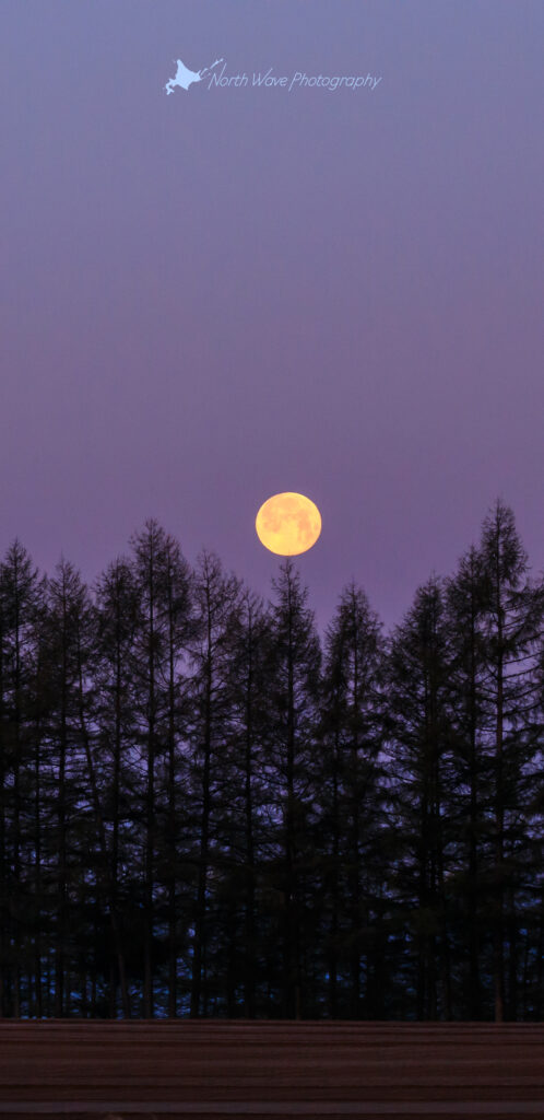 spring-cultivation-field-and-full-moon-for-galaxy