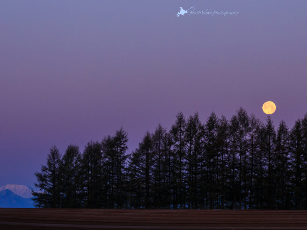spring-cultivation-field-and-full-moon-for-ipadpro