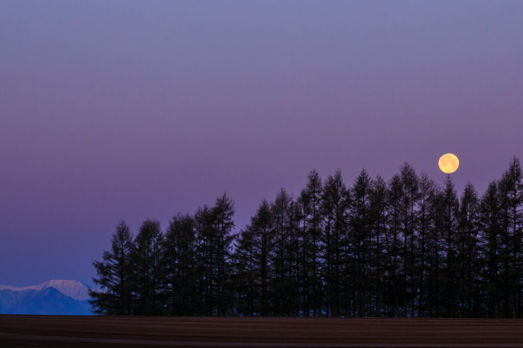 spring-cultivation-field-and-full-moon-for-surfaceprox