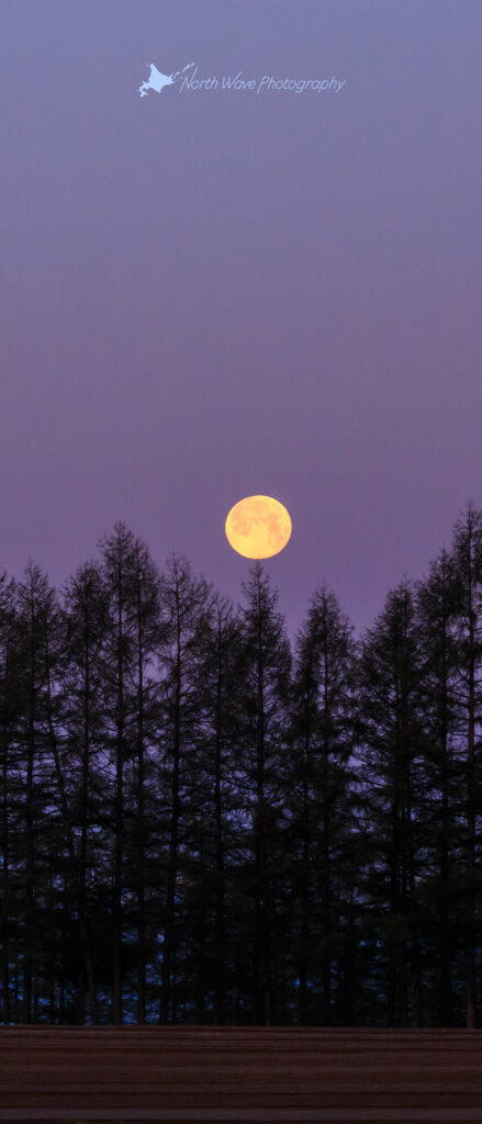 spring-cultivation-field-and-full-moon-for-xperia