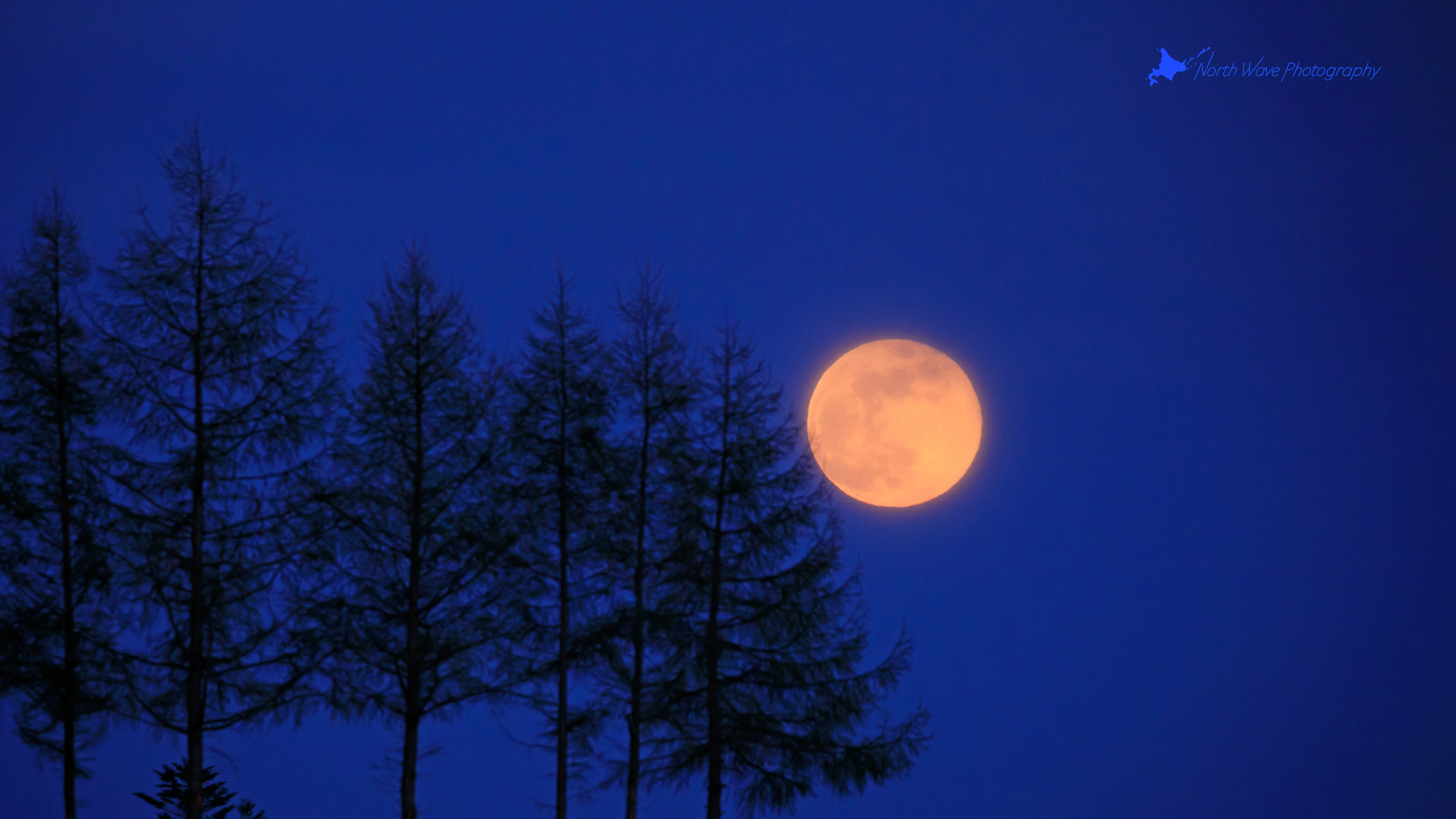 blue-time-windbreak-and-full-moon-for-imac