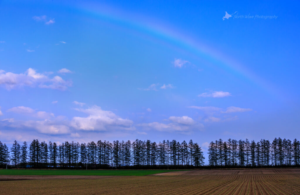 windbreak-forest-and-rainbow-for-macbookpro