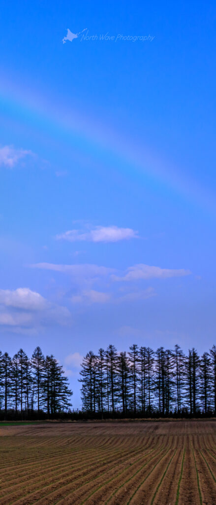 windbreak-forest-and-rainbow-for-xperia