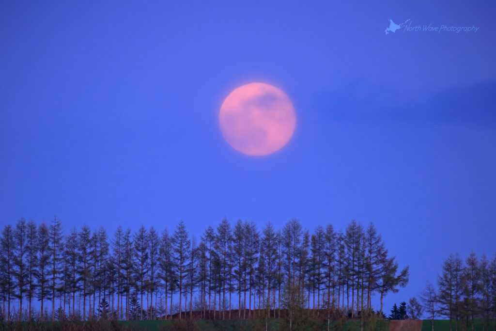 windbreak-and-red-moon-for-surfaceprox