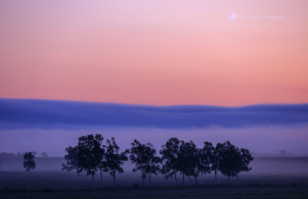 morning-mist-and-sunrise-for-macbookpro