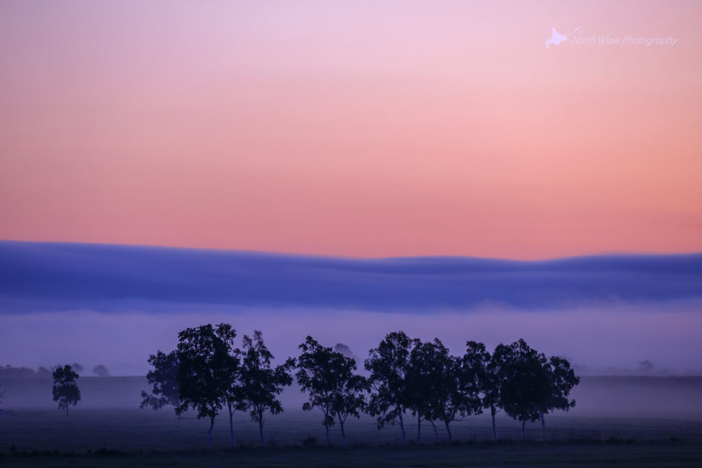 morning-mist-and-sunrise-for-surfaceprox