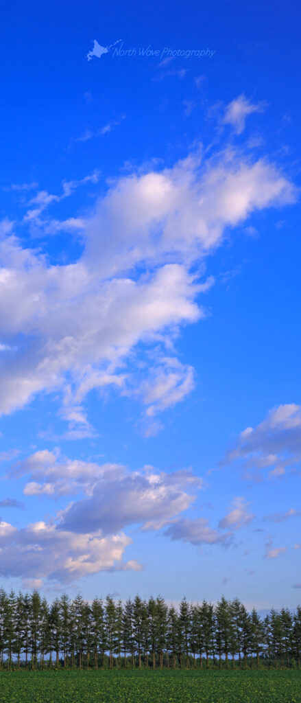 blue-sky-and-windbreak-for-xperia