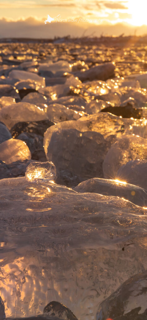 golden-jewelry-ice-for-iphone13-wallpaper