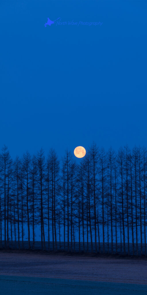 moonset-at-the-blue-moment-for-aquos-wallpaper