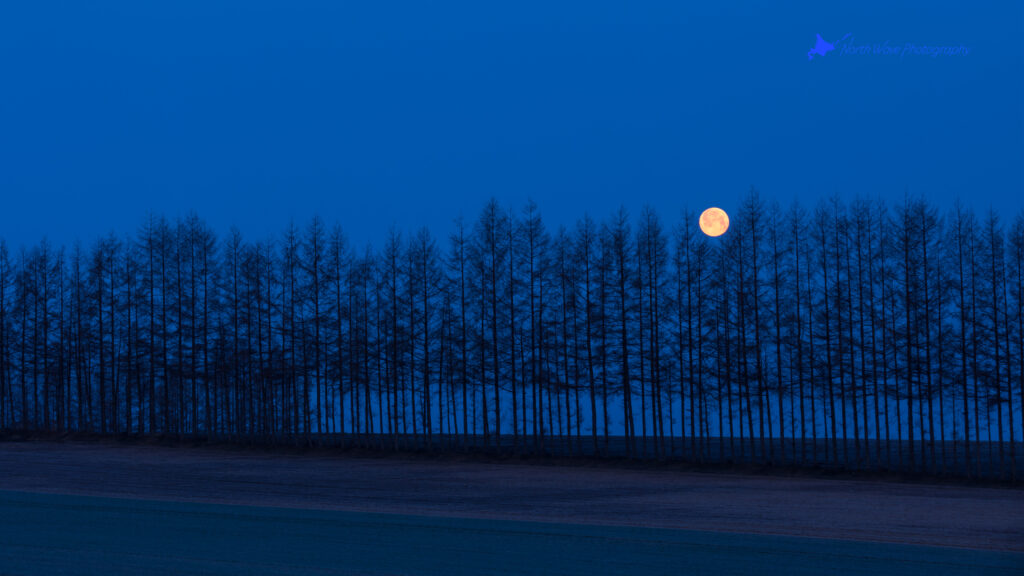 moonset-at-the-blue-moment-for-imac-wallpaper