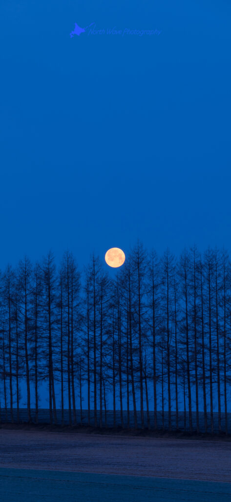 moonset-at-the-blue-moment-for-iphone13-wallpaper