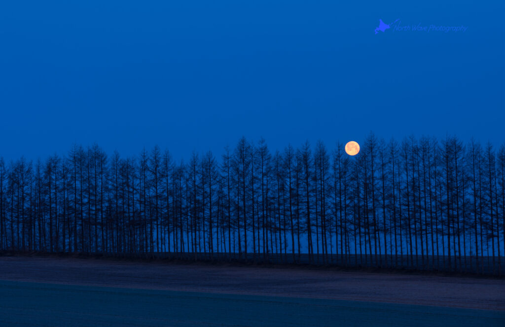 moonset-at-the-blue-moment-for-macbookpro-wallpaper