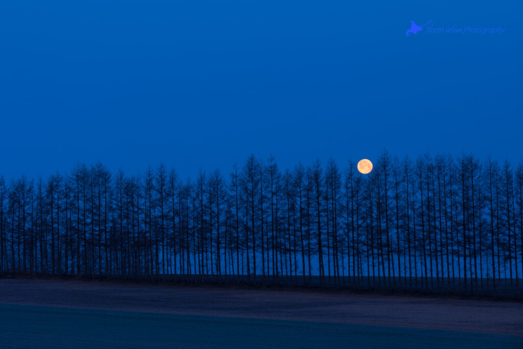 moonset-at-the-blue-moment-for-surfaceprox-wallpaper