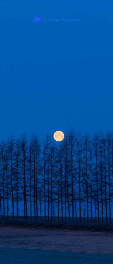 moonset-at-the-blue-moment-for-xperia-wallpaper