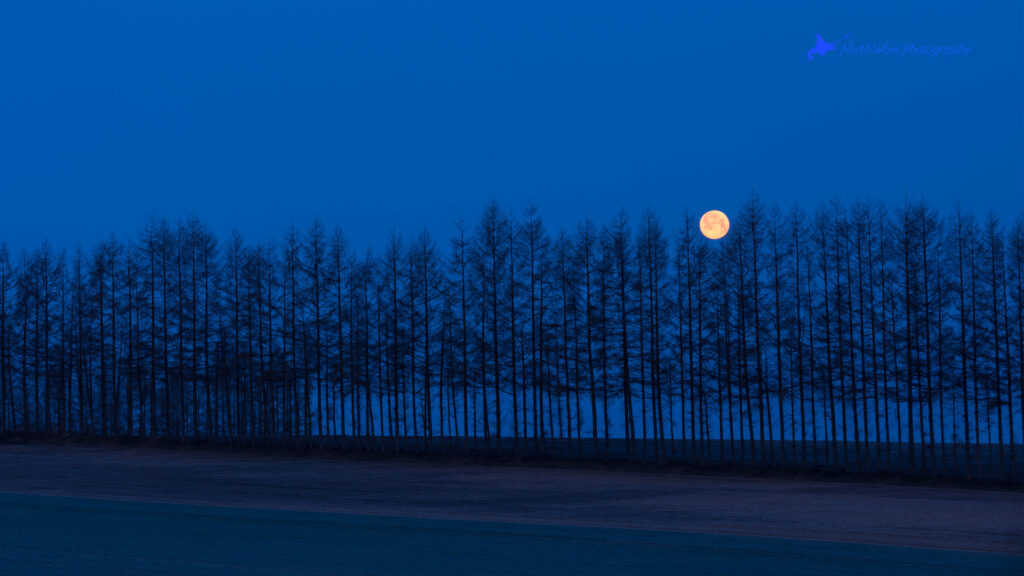 moonset-at-the-blue-moment-for-zoom-virtual-background