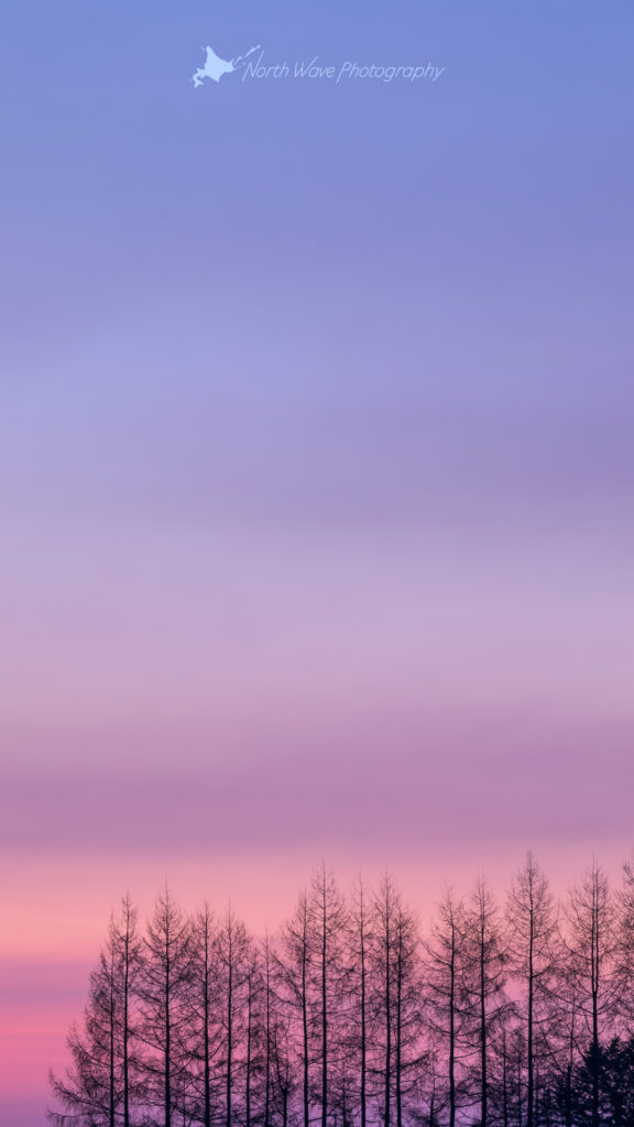 windbreak-at-dawn-for-iphone8-wallpaper-0042