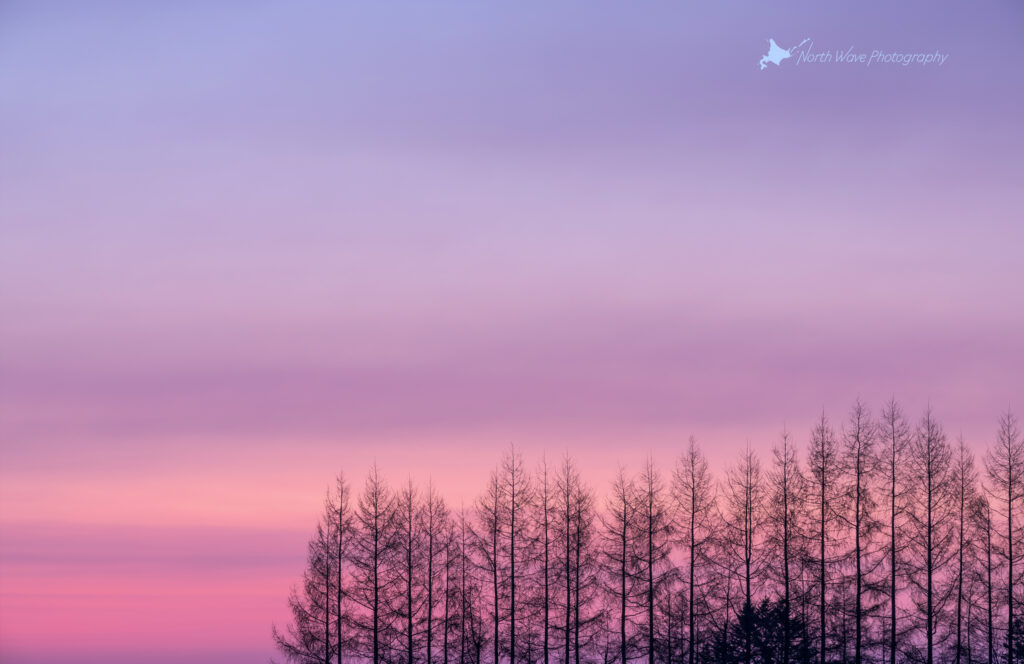 windbreak-at-dawn-for-macbookpro-wallpaper-0042