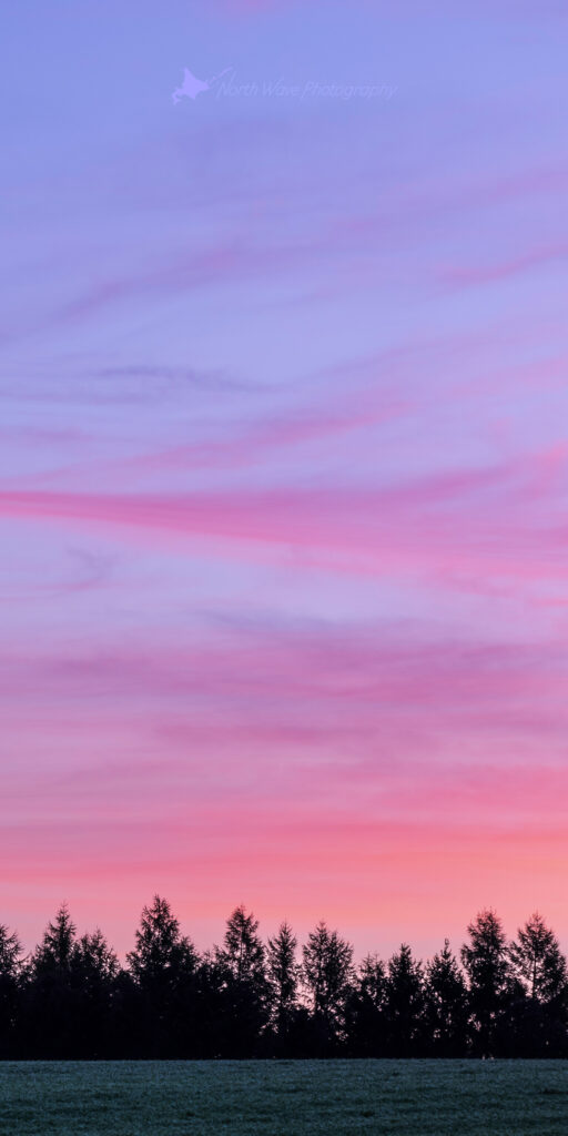 pink-morning-sky-for-aquos-wallpaper