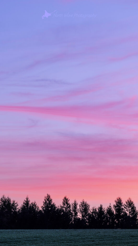 pink-morning-sky-for-iphone8-wallpaper