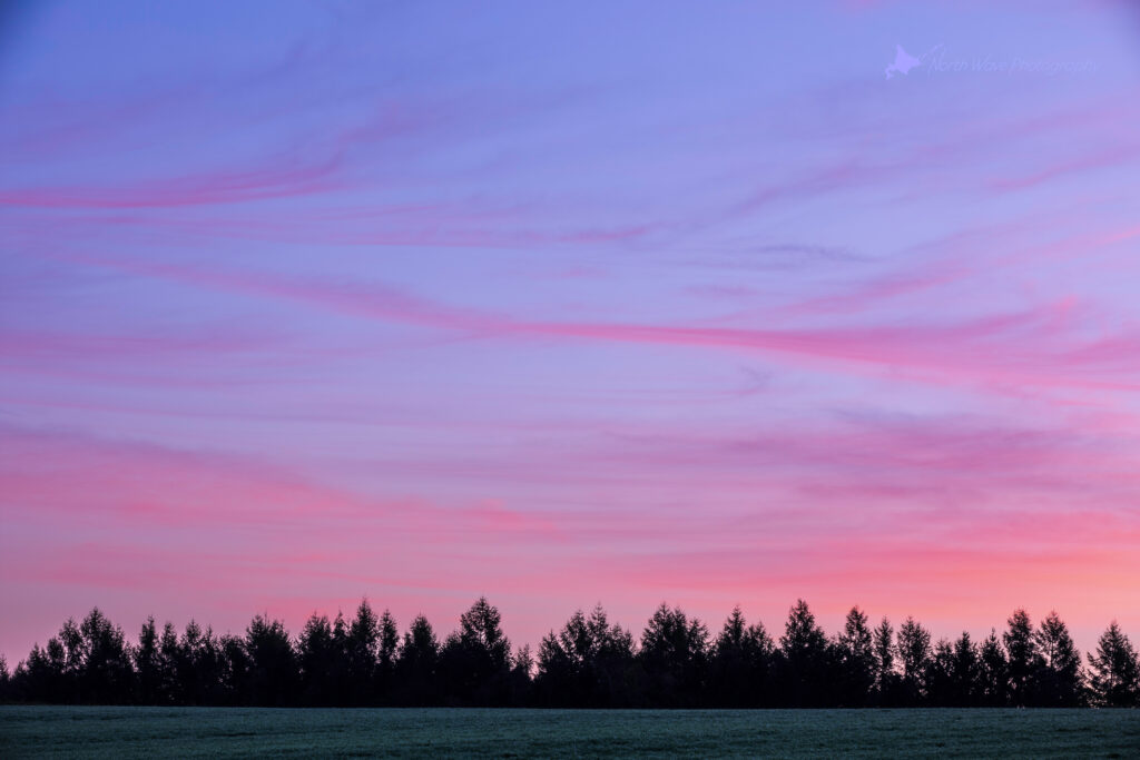 pink-morning-sky-for-surfaceprox-wallpaper