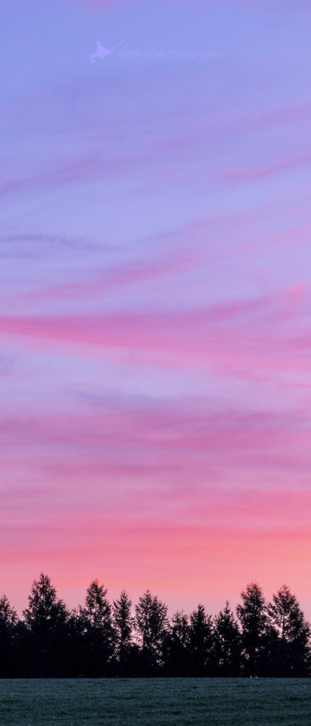 pink-morning-sky-for-xperia-wallpaper