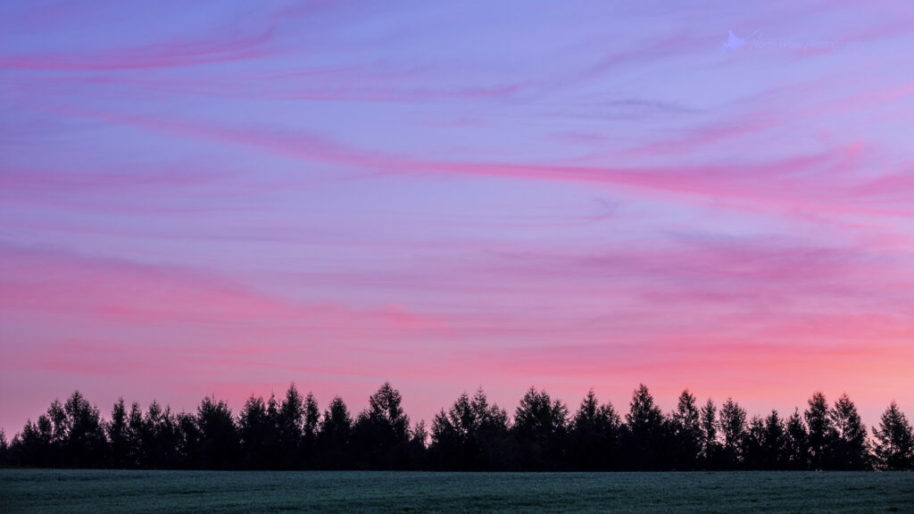 pink-morning-sky-for-zoom-virtual-background