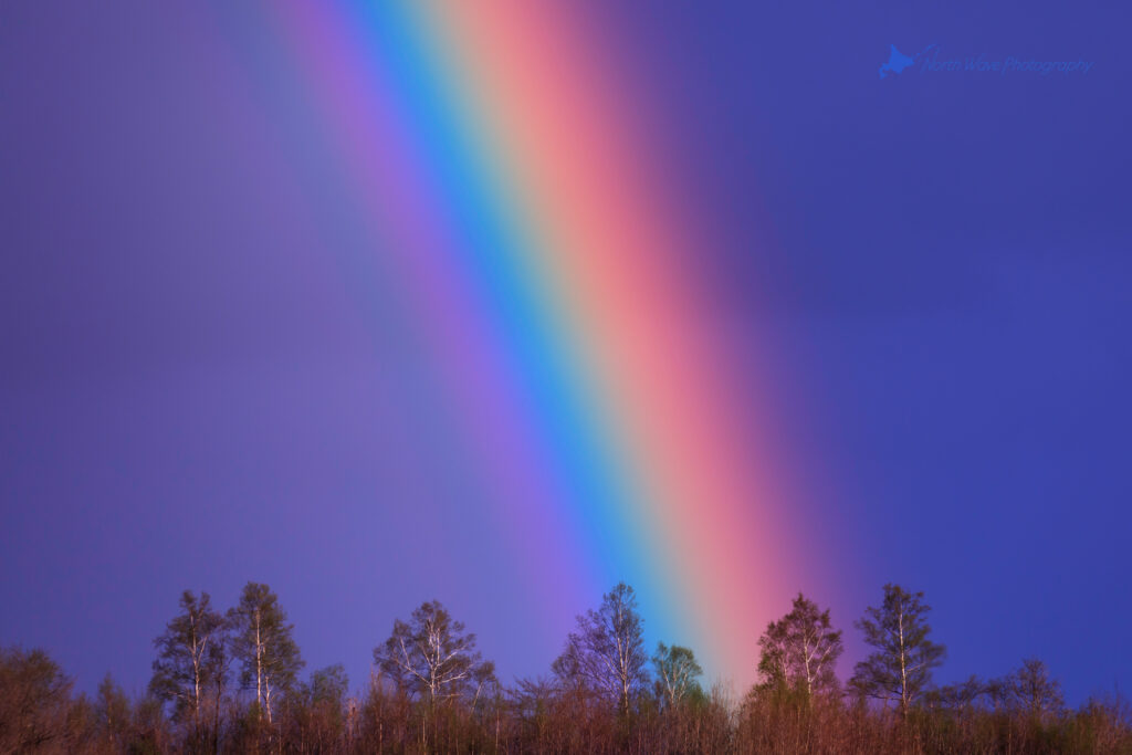 A-bright-rainbow-in-the-sky-for-surfaceprox-wallpaper