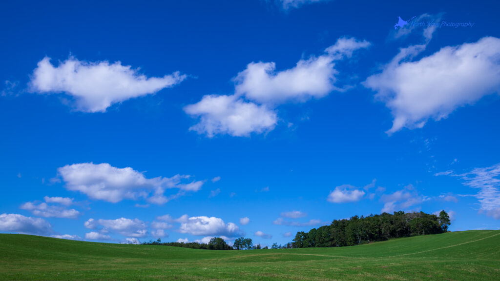 Pasture-under-blue-sky-for-imac-wallpaper