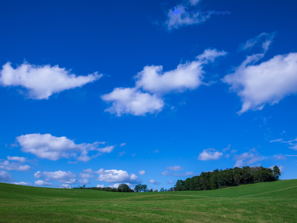 Pasture-under-blue-sky-for-ipadpro-wallpaper