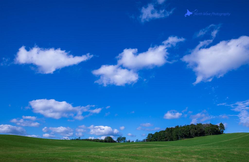 Pasture-under-blue-sky-for-macbookpro-wallpaper