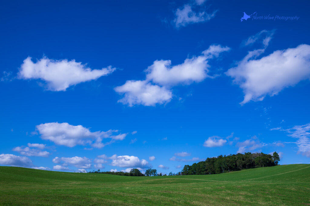 Pasture-under-blue-sky-for-surfaceprox-wallpaper