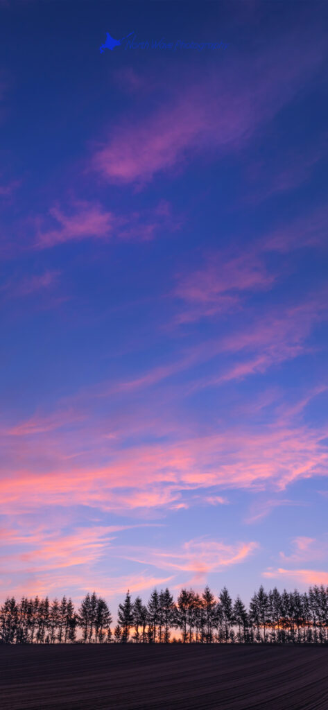 Early-autumn-sky-with-a-morning-glow-for-iphone14-wallpaper