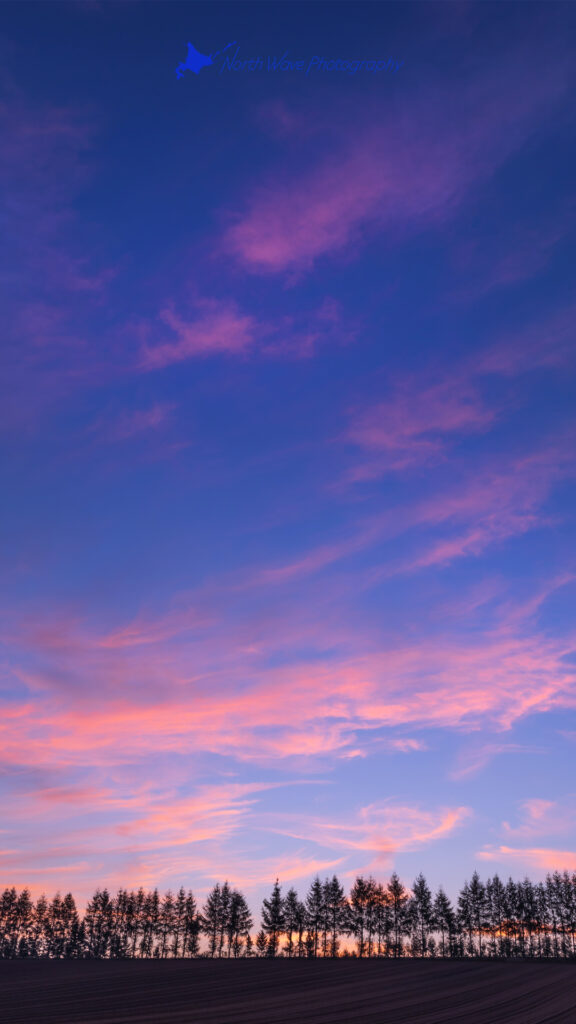 Early-autumn-sky-with-a-morning-glow-for-iphone8-wallpaper