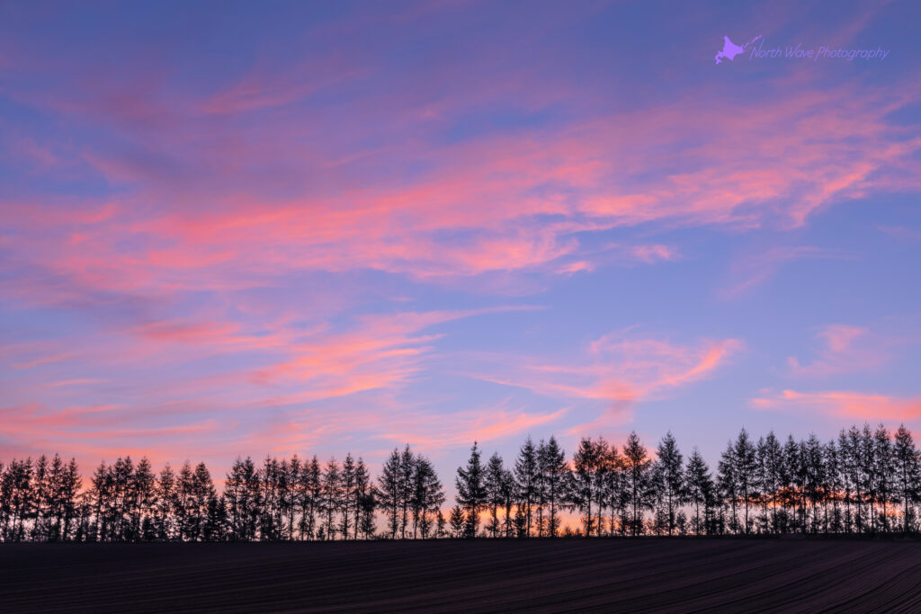 Early-autumn-sky-with-a-morning-glow-for-surfaceprox-wallpaper