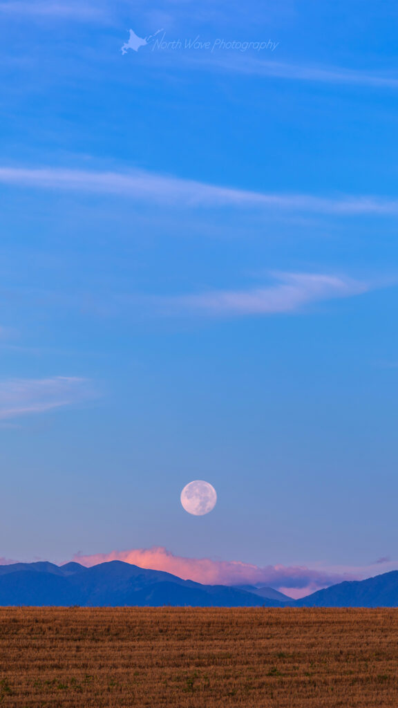 The-field-after-harvest-and-moonset-for-iphone8-wallpaper