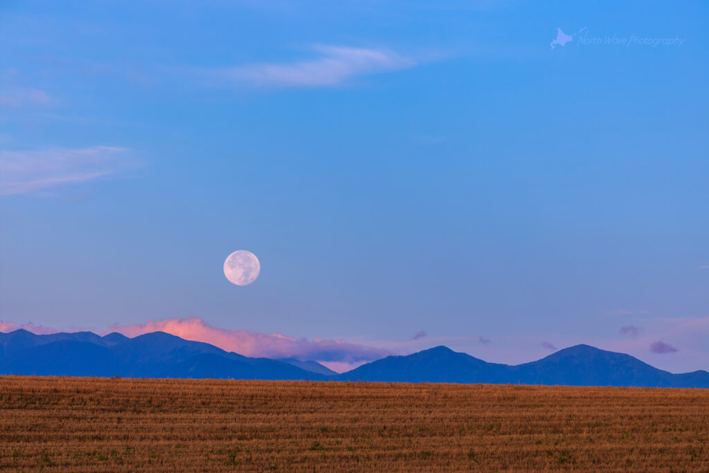 The-field-after-harvest-and-moonset-for-surfaceprox-wallpaper
