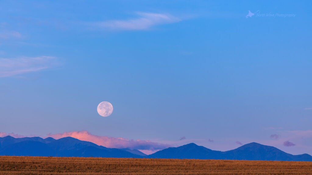 The-field-after-harvest-and-moonset-for-zoom-virtual-background